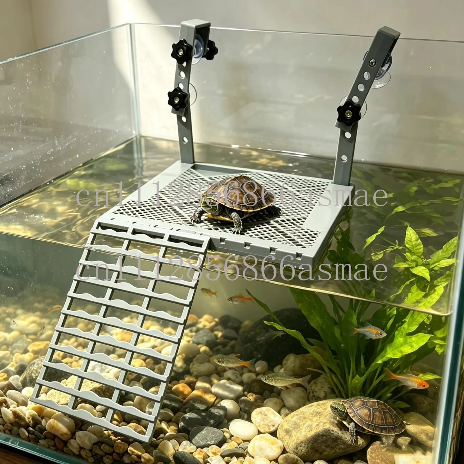 Nouvelle plateforme suspendue pour le bain et le séchage des tortues, réservoir pour tortues, pour une évitement naturel des obstacles et un repos spécifique pour les tortues