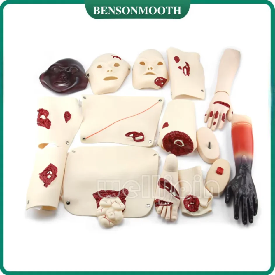 16 Pcs Trauma Evaluation Module Emergency Care First Aid Simulation Model Teaching Equipment training model