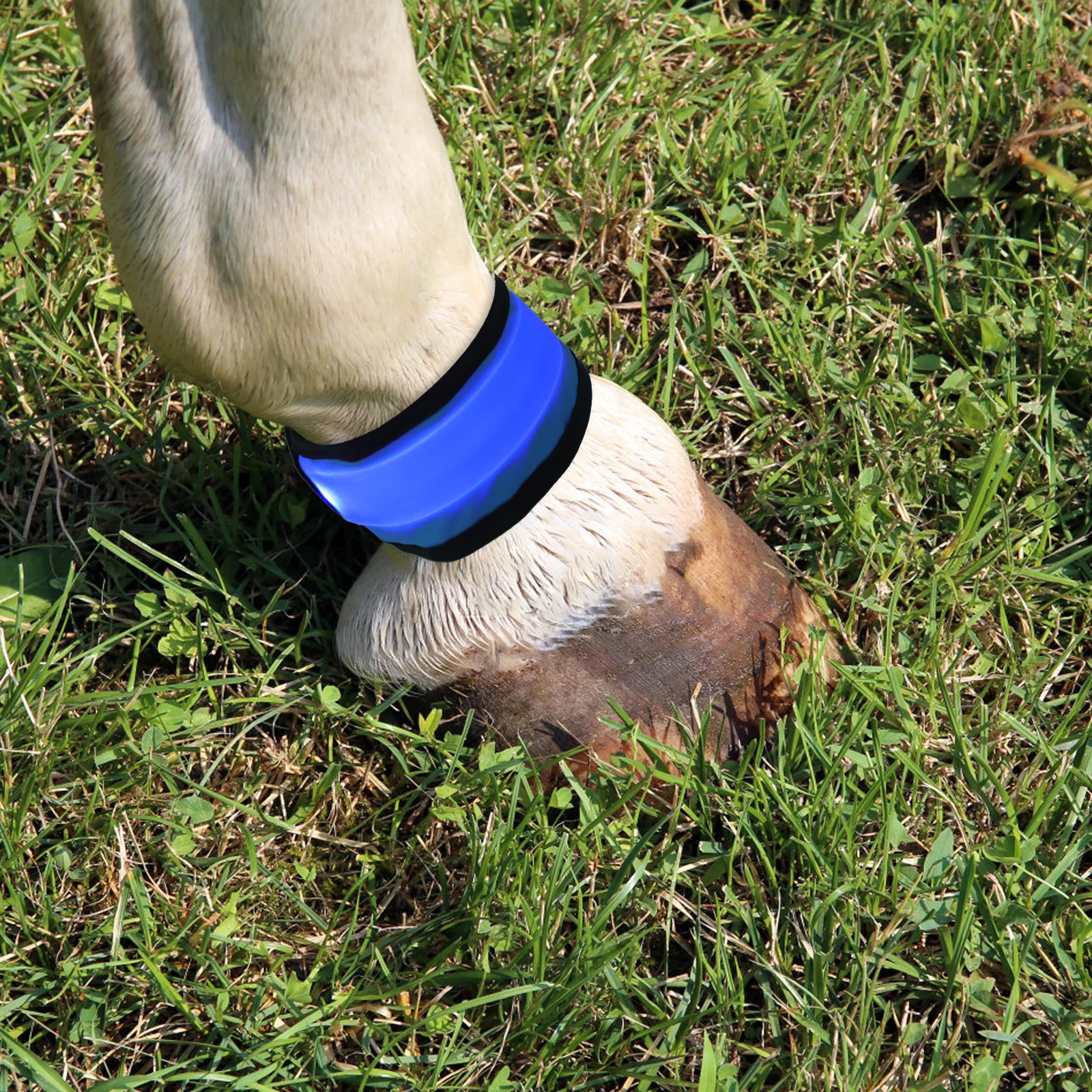 4Pcs LED Horse Leg Band Parts Waterproof Fabric with Bright LED Lights for Safe Night Riding Riding Horse Accessories