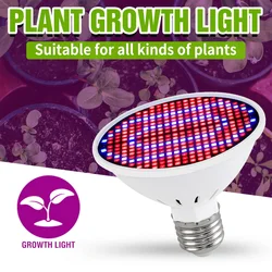 Luz LED de crecimiento hidropónico, Bombilla de cultivo de espectro completo, lámpara UV de 220V, plántulas de flores de plantas, alta calidad, E27