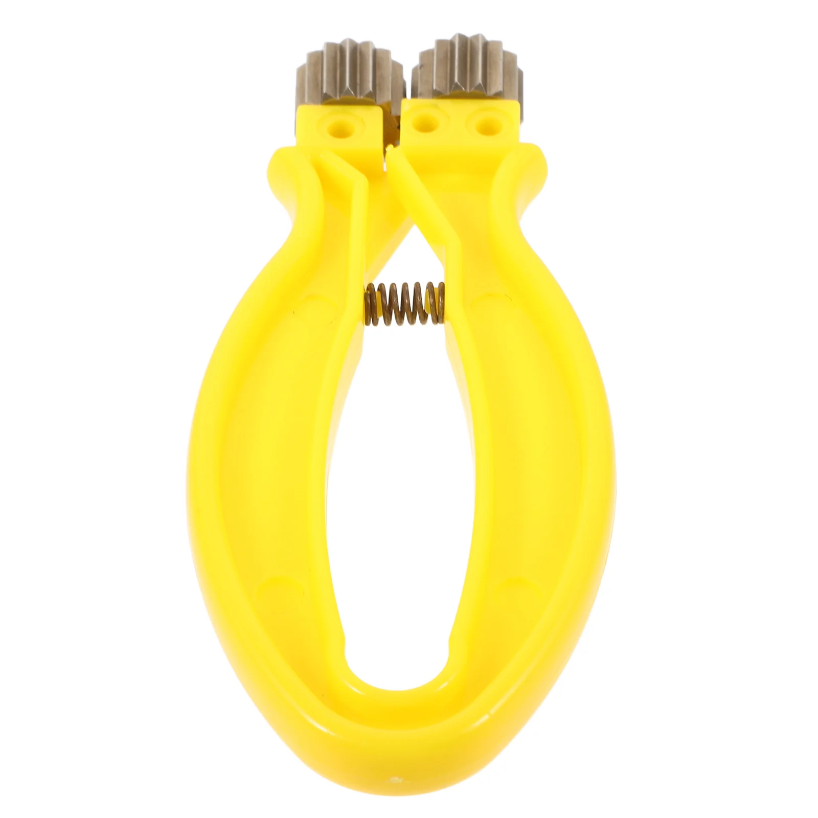 Beehive Wire Metal Beekeeping Tool Supplies Bee Hive Frame Tool Apiculture Tensioner Supplies Bee Hive Frame