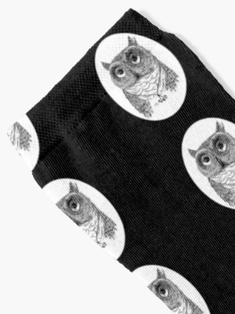 Wood Badge Owl Socks funny sock happy retro Socks Female Men's