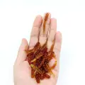 20pcs YD01 huanghong