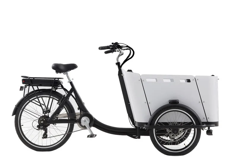 Electric Pedal 3 Wheels Cargo Bike With 250W Rear Motor For Carrying Kids Or Pets