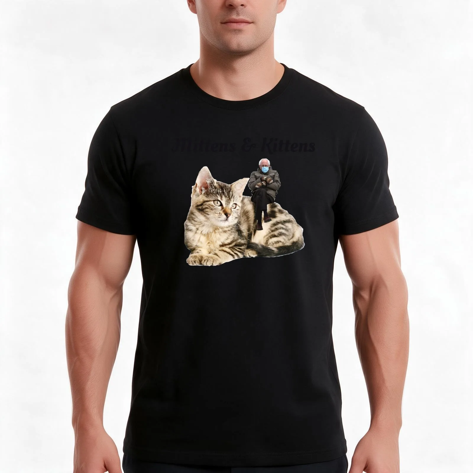 Bernie Sanders Mittens & Kittens T-Shirt Summer Casual Cotton Tee Oversized Streetwear Tops Vintage Graphic Print