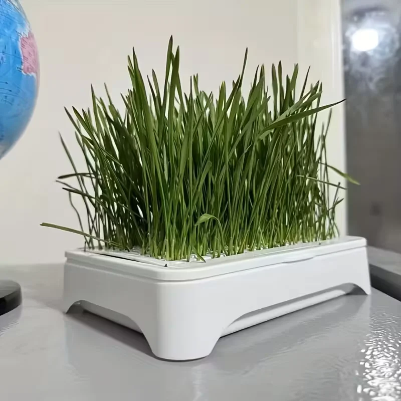 1pc Pet Cat Grass Planting Basin Wheat Seedling Soilless Culture Pot Hydroponic Growth System Gardening Accessories