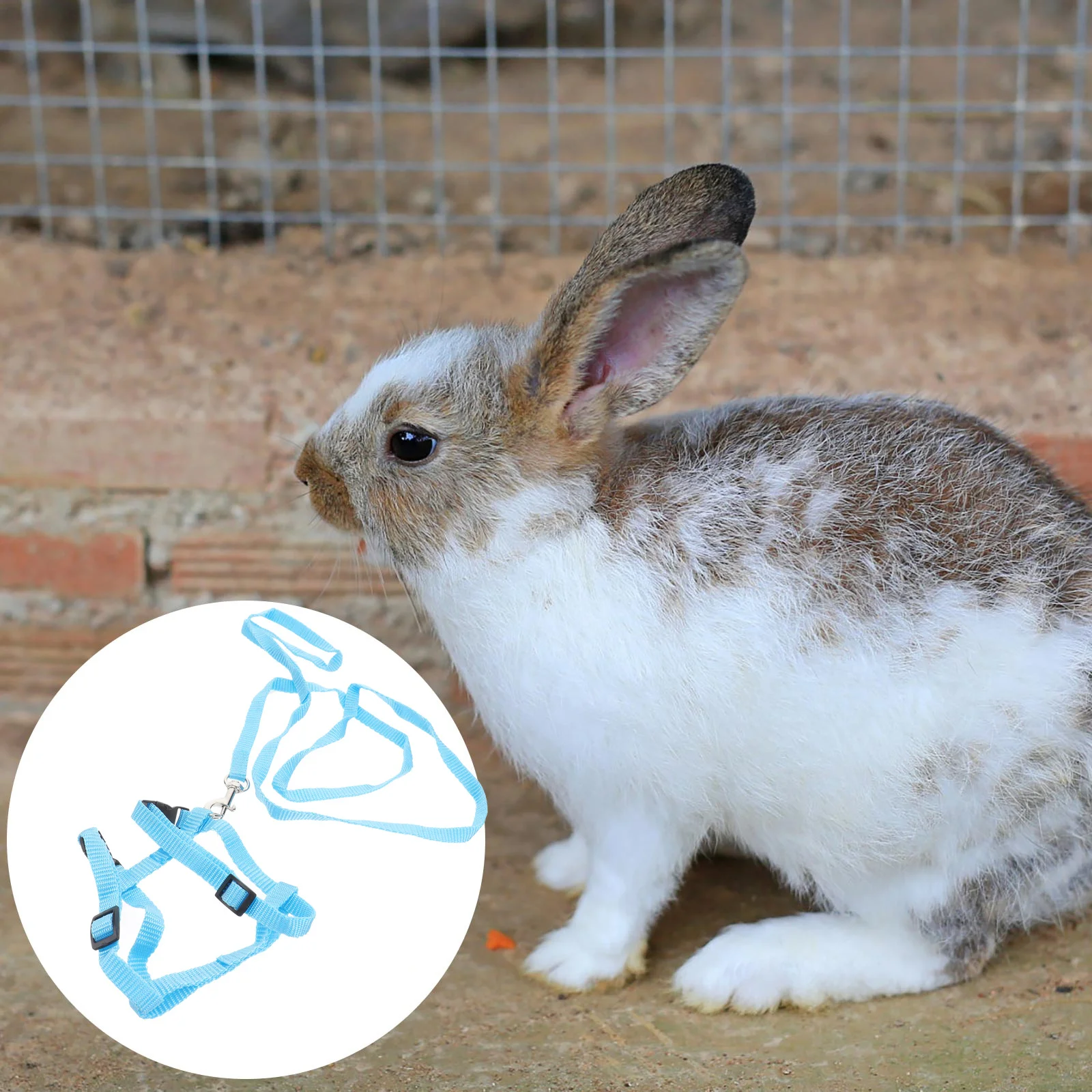 

Harness Puppy Rabbit Pulling Rope Drawstring Traction Strap Bunny Walking Leash