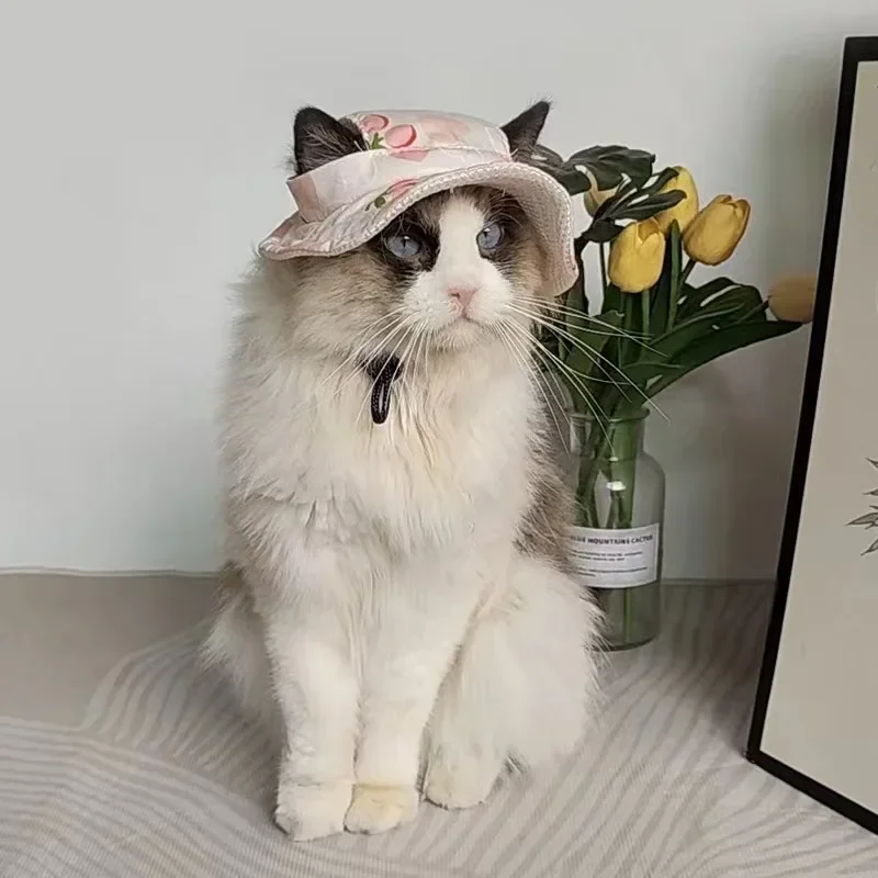 Cute Cotton Cat Costume Hats With Ear Holes Tie-Dyed Style Pet Cap Outdoor Sun Hat Mascotas Sun Helmet for Small Medium Pet Hat