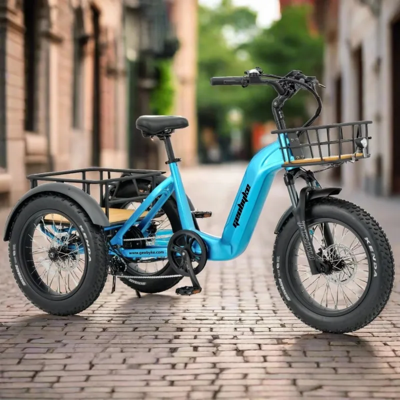 

500W 3-wheel cargo electric bicycle 20-inch adult electric tricycle