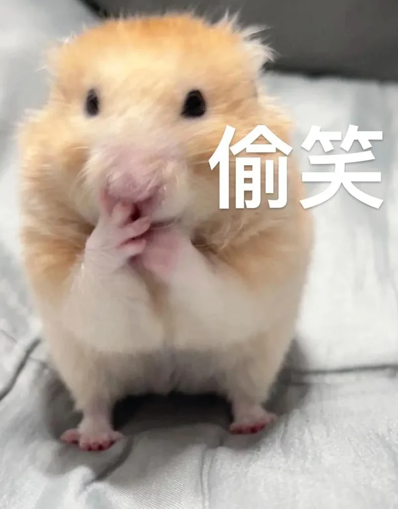 

Car paragliding art flying skydive sport cool graphic decoration waterproof cover scratch Car sticker