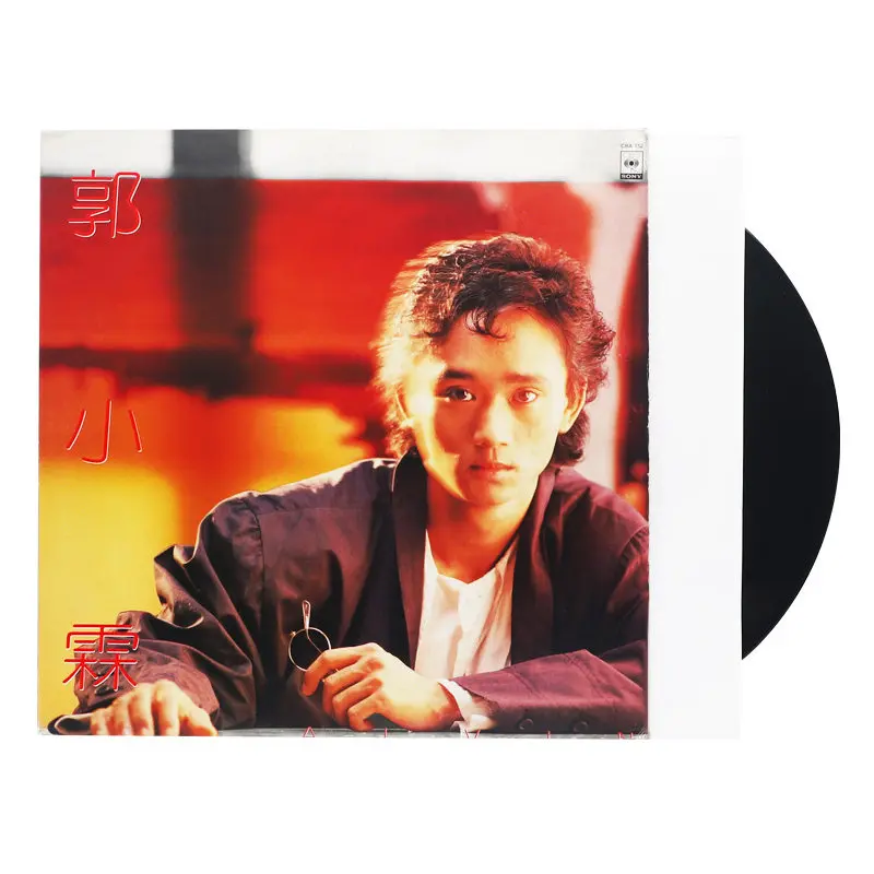 LP Vinyl Record Sleeves 7