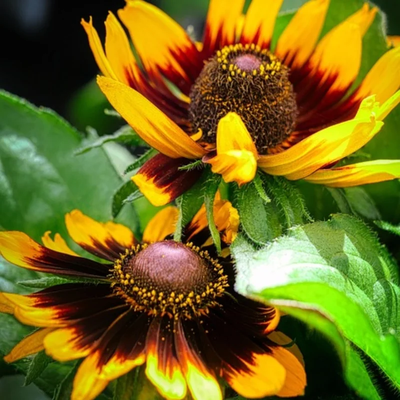 

WLtoys 104001 Обновление запасных частей для радиоуправляемого автомобиля, металлический комплект, чашка заднего колеса, C-сиденье, передняя рулевая чашка, тяга, поворотный рычаг