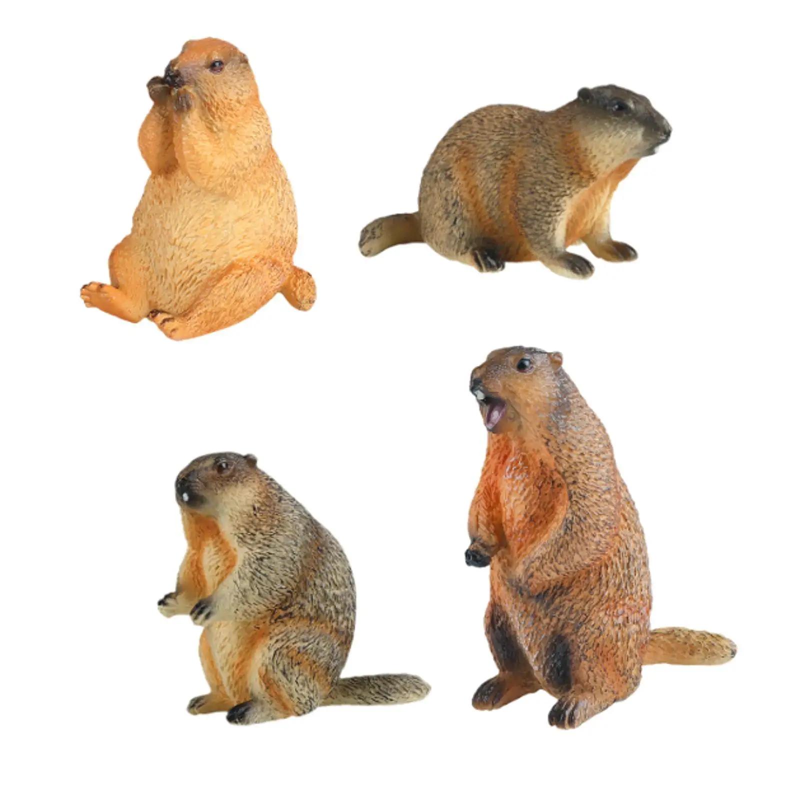 Groundhogs Model Figure Art Decor Educational for Gifts Party Favors Kids