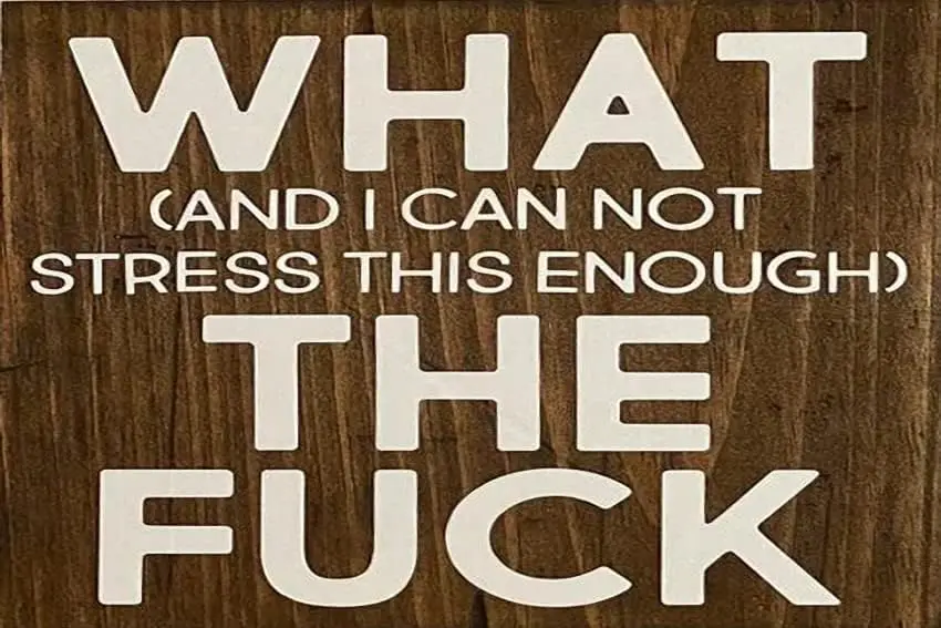 What The I Cant Stress This Enough-Funny Home Decor Signs-Motivational Quotes-Rustic Office Signs Funny Metal Tin Sign, Imi