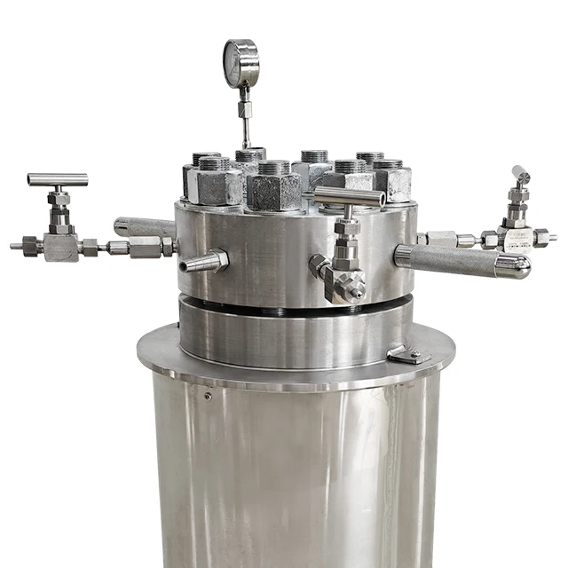 Reattore ad alta pressione ASME CE EAC EPR utilizzato nel riscaldamento elettrico da laboratorio per antideflagranti ad alta temperatura per la ricerca di laboratorio 1L