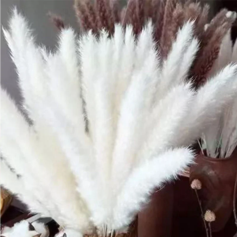 

15pcs Pampas Grass Bouquet for Wedding Christmas Decoration Natural Dried Flowers Fluffy Phragmites Reed Boho Home Garden Decor