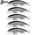 5pcs R