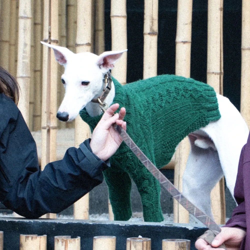 

Зимний вязаный свитер ручной вязки для итальянского борзых, мягкое зеленое пальто для уиппета, теплая осенняя домашняя одежда для собак-терьеров