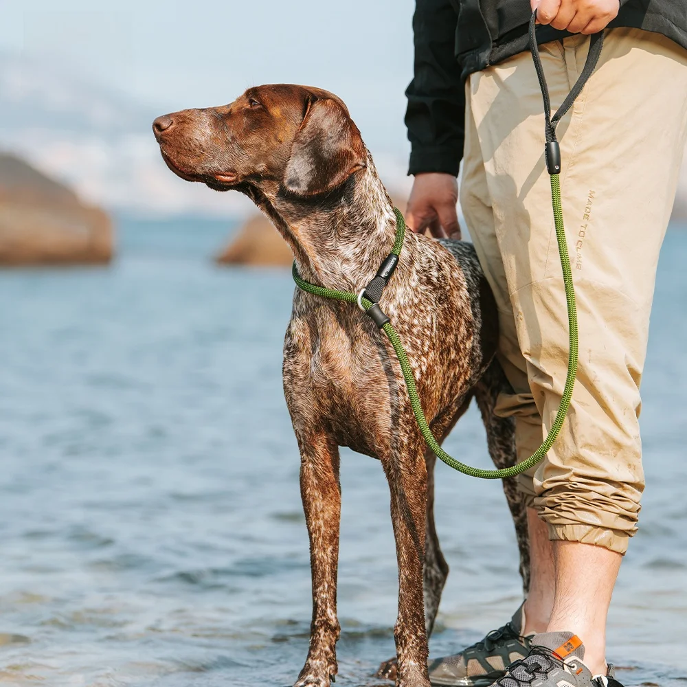 correa-para-perro-blackdoggy-steady-a-prueba-de-explosiones-con-cuerda-integrada-duradera-y-robusta-para-suministros-de-mascotas-al-aire-libre-arnes-para-perro