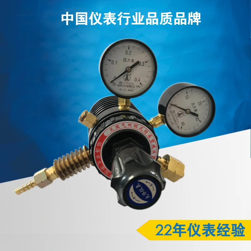 Natural Gas Pressure Reducer, Two-stage Heat Absorption and Antifreeze Type, Medium Size Regulating Valve, Pressure Regulator