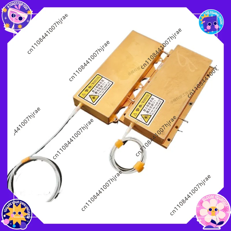 300wDiode Pump with Long Fiber Fineness New Power Small Size Special Experimental Equipment for Scientific Research