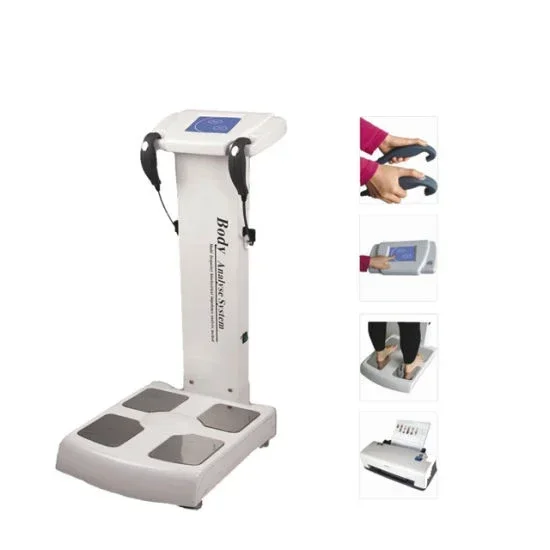 

GS6.5B Professional Human Body Fat Composition Analyzer Machine for Sale