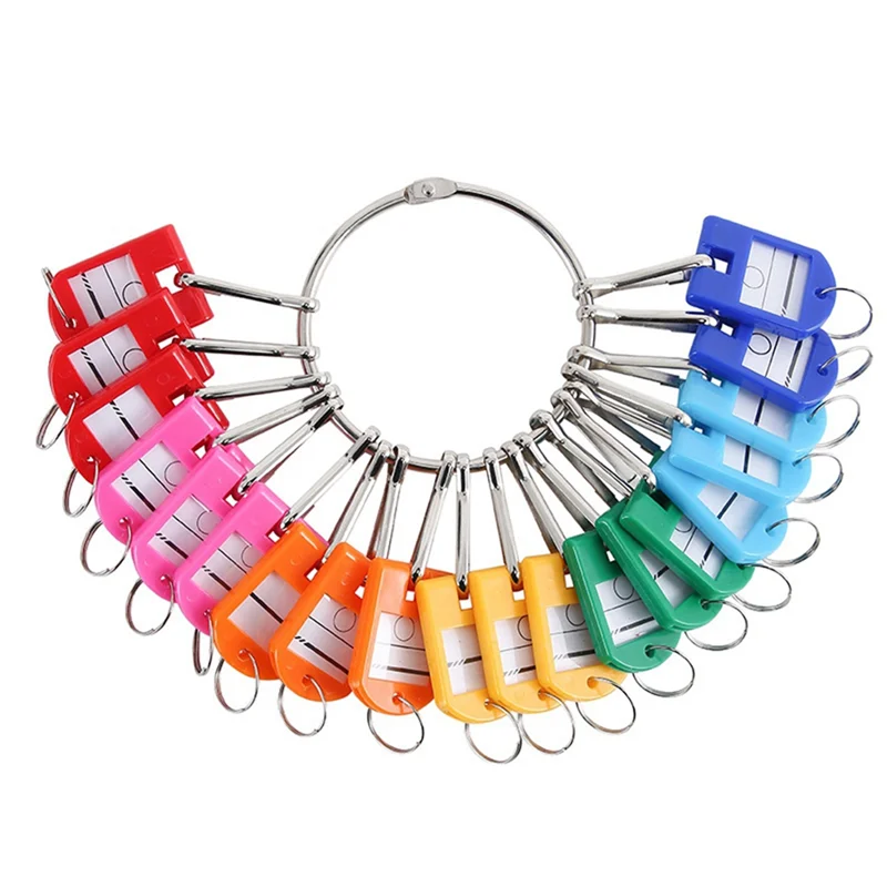 

Portable Metal Ring Key Organizer with 30 Spring Hooks & Key Tags with Ring and Label Window