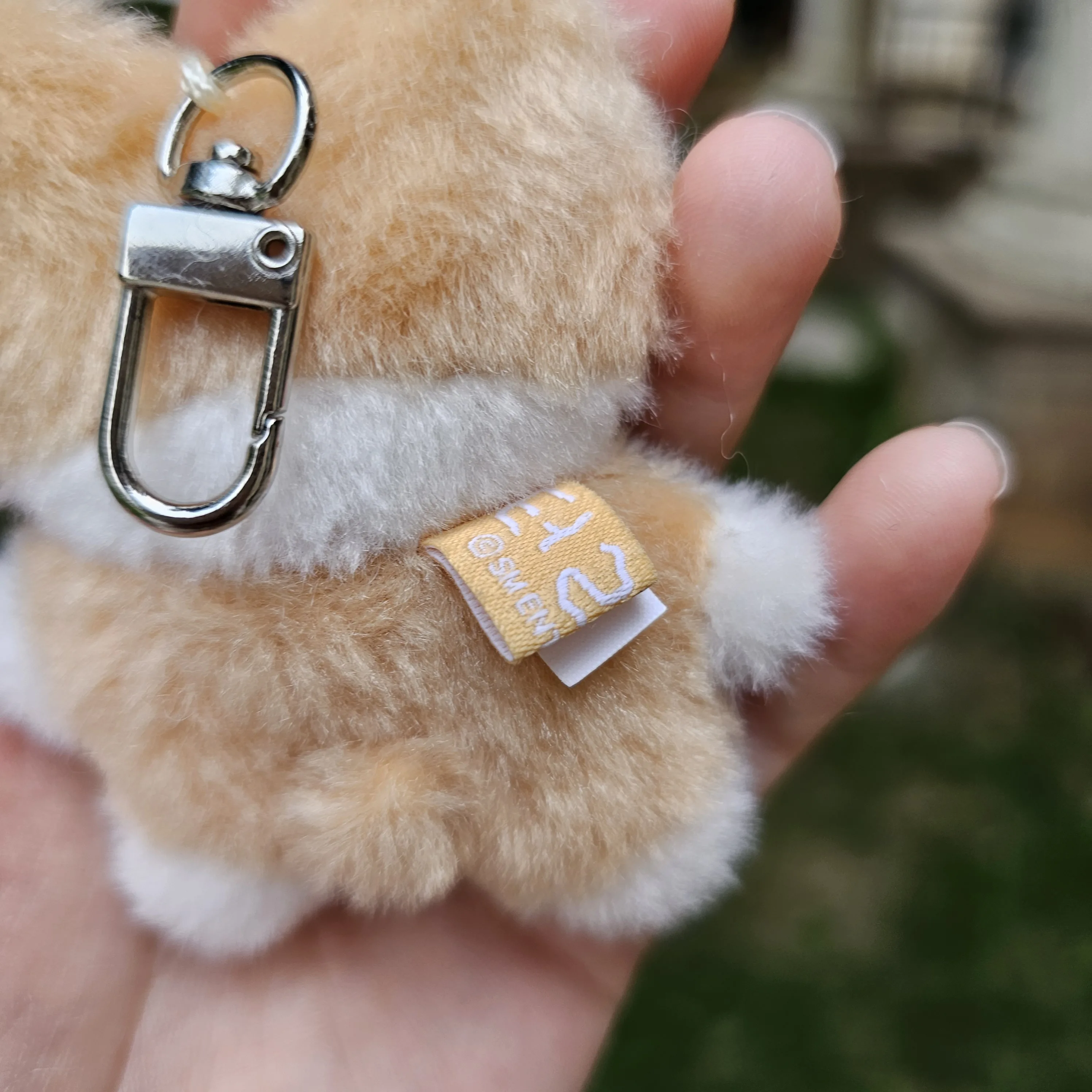 Baekhyun TEOLAEGI PLUSH MINI KEY RING FLAT VER - AliExpress 26