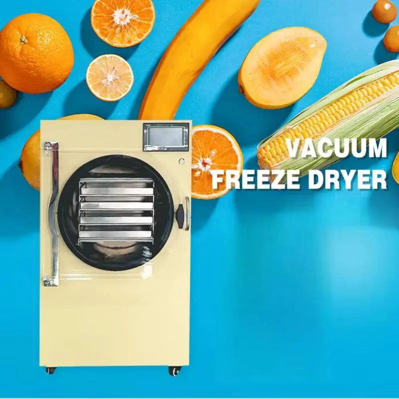 Sale Food And Vegetable Fruit Household Drying Low For 12 Price Freeze Dryer