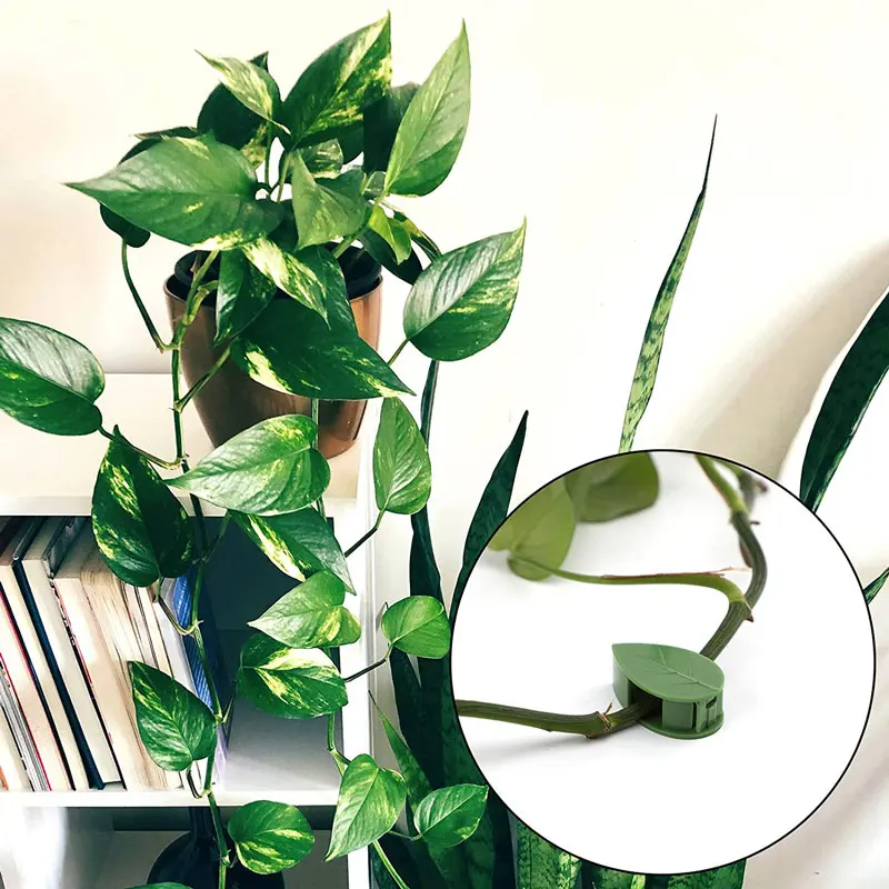 10PCS Plant Climbing Wall Fixture Clips Plant Fixer Self-Adhesive Hooks Invisible Wall Fixing Clip Vines Holder for Home Decor