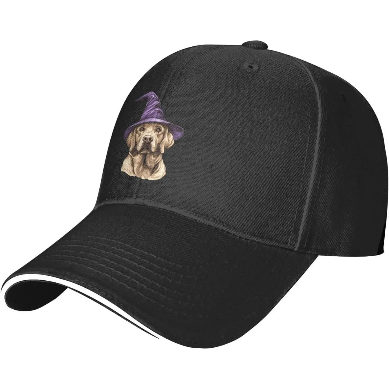 Unisex Adult Baseball Caps, Adjustable Sandwich Cap Labrador Retrievers Print Hip Hop Hats Fishing Hat