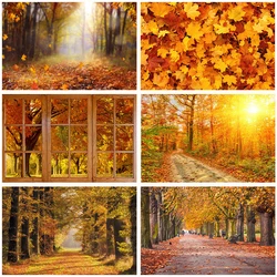 Herfst Bos Serie Kinderen Fotografie Achtergronden Halloween Herfst Laat Portretten Portretten Baby Foto Banner Vakantie Achtergrond