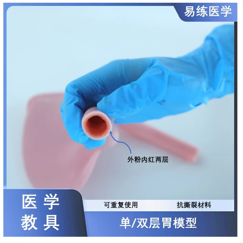 Teaching model of folded hydrogel silica gel for single-layer double-layer hollow gastrointestinal anastomosis