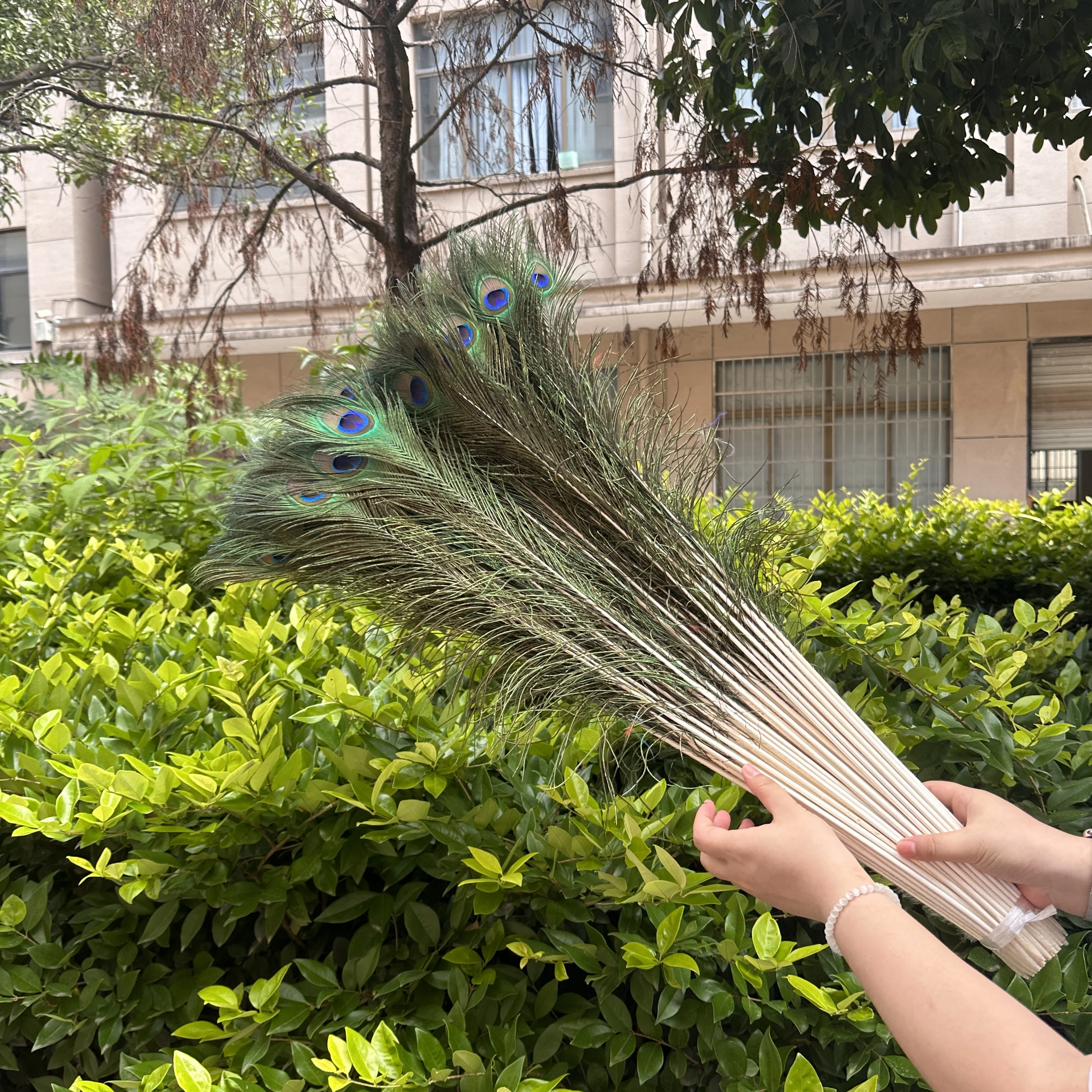Wholesale 20/50/100pcs/lot Peacock Natural Feather 60-70cm/70-80cm Wedding Wholesale Crafts Decorations for Home Hotel Decoratio