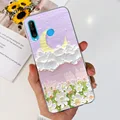 case-c73