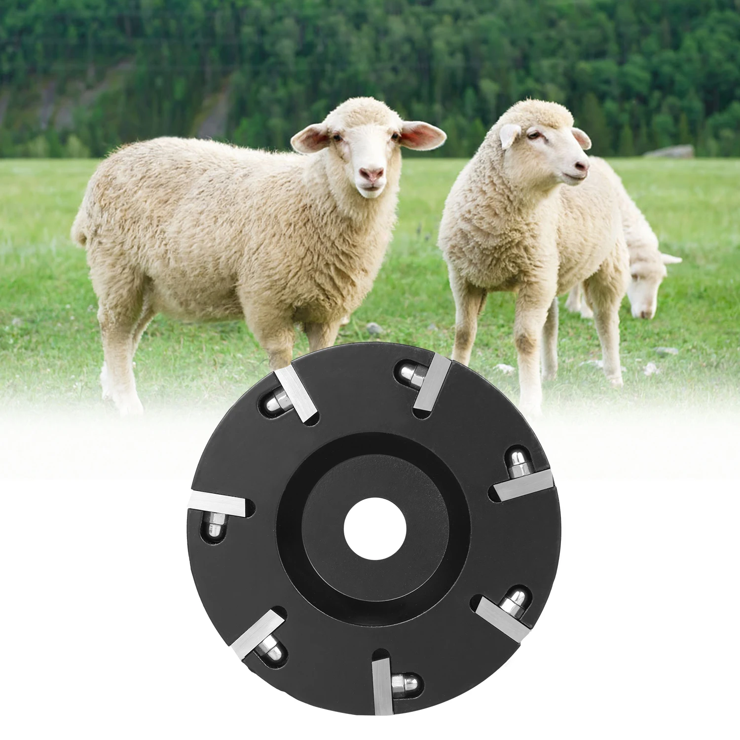 Livestock Hoof Trimming Disc Plate Hoof Trimming Discs Hoof Grinding Discs Claws Hoof Care Tool For 100mm angle grinder