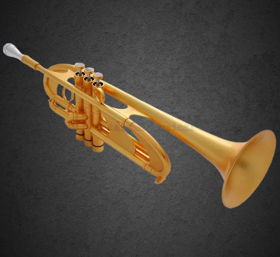 2026 Concert Profes… - image