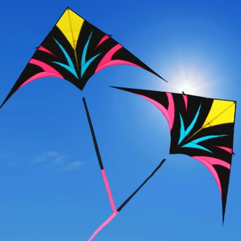 

free shipping large delta kites flying for adults kites reel professional wind kites factory kite flying power kite dragon kite