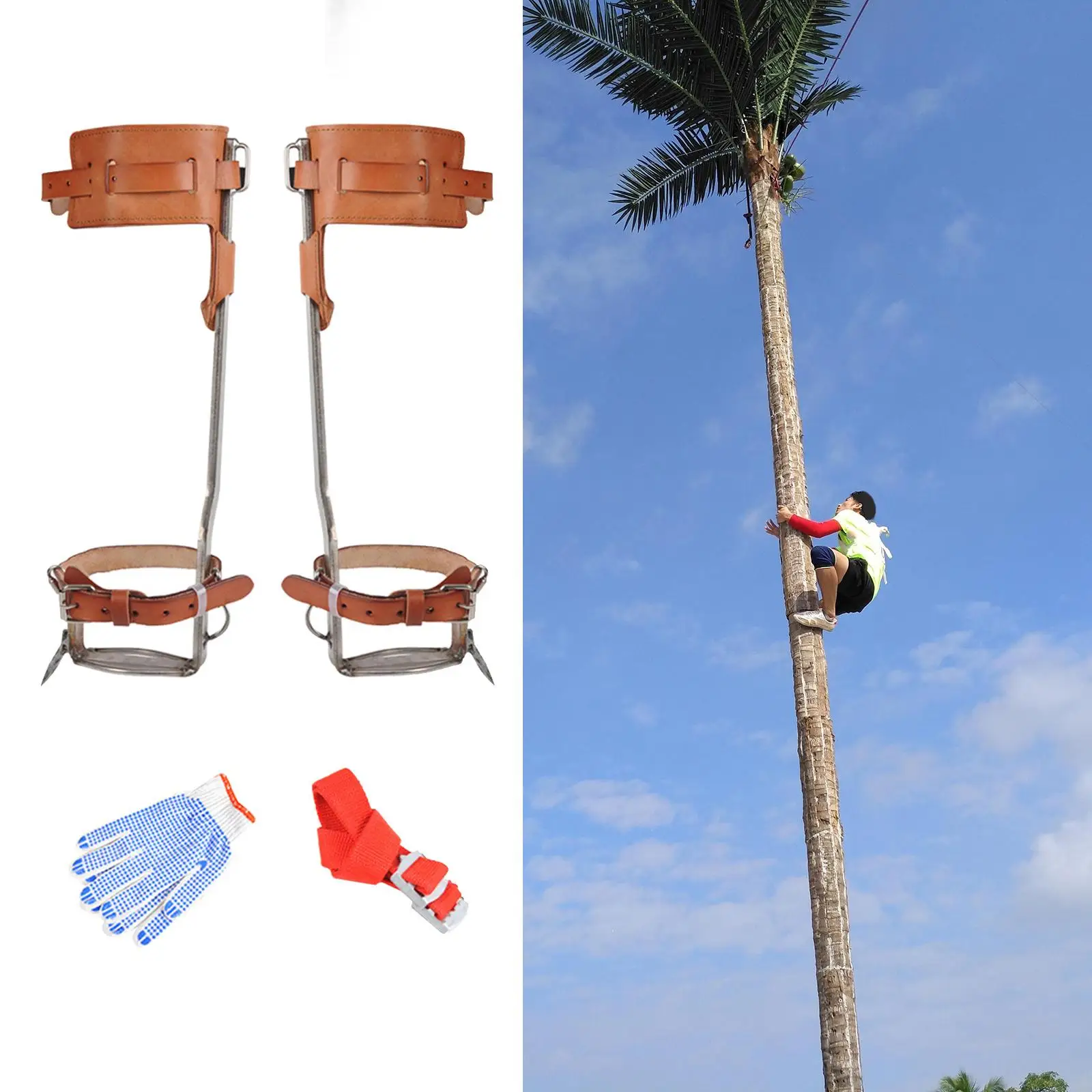 Climbing Tree Spikes Leather Belt Steel Step Spur Tool Suitable for High Altitude Logging Fruit Picking Hunting Equipment