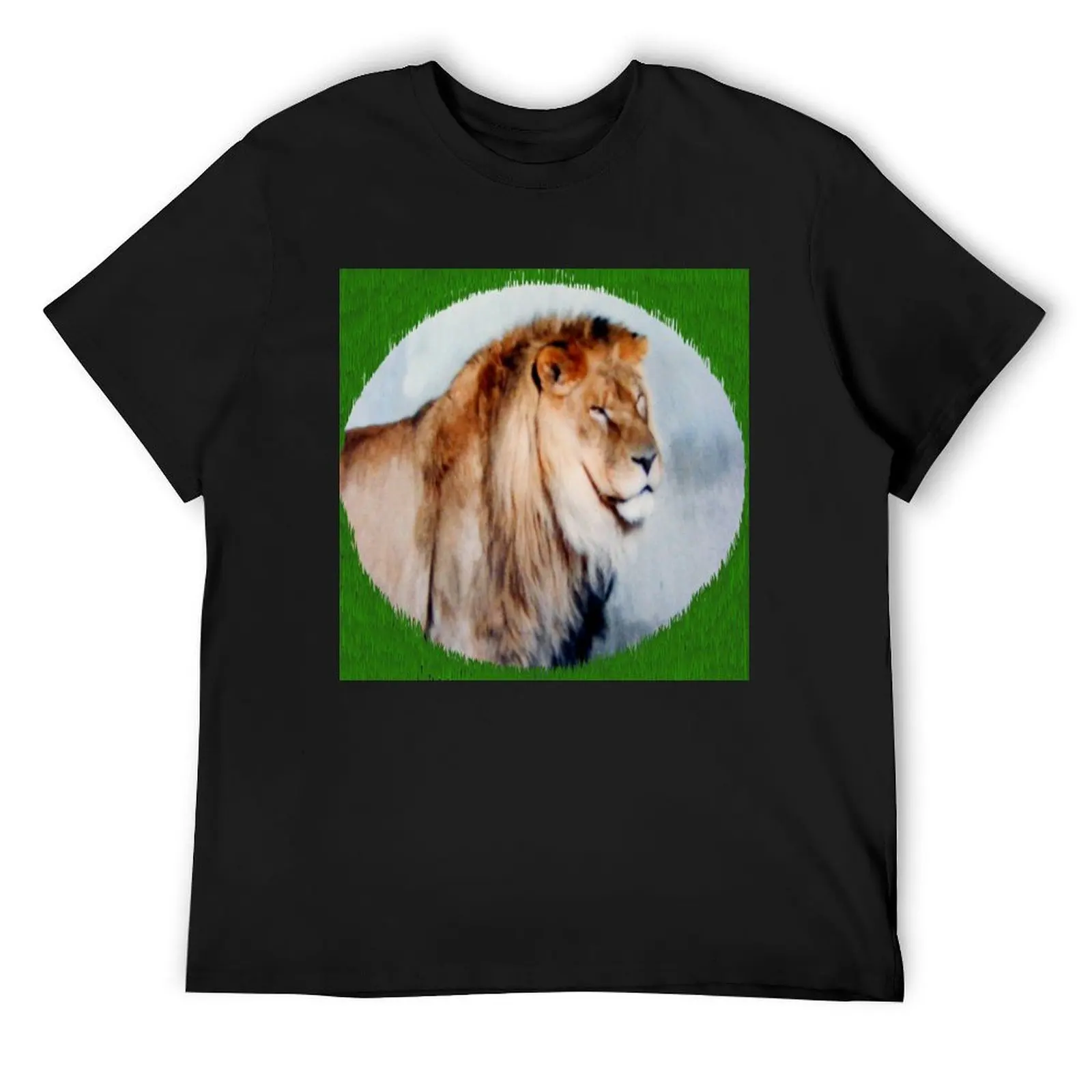 

Мужская футболка с изображением льва, кавайная одежда, винтажные роскошные мужские футболки высокого качества