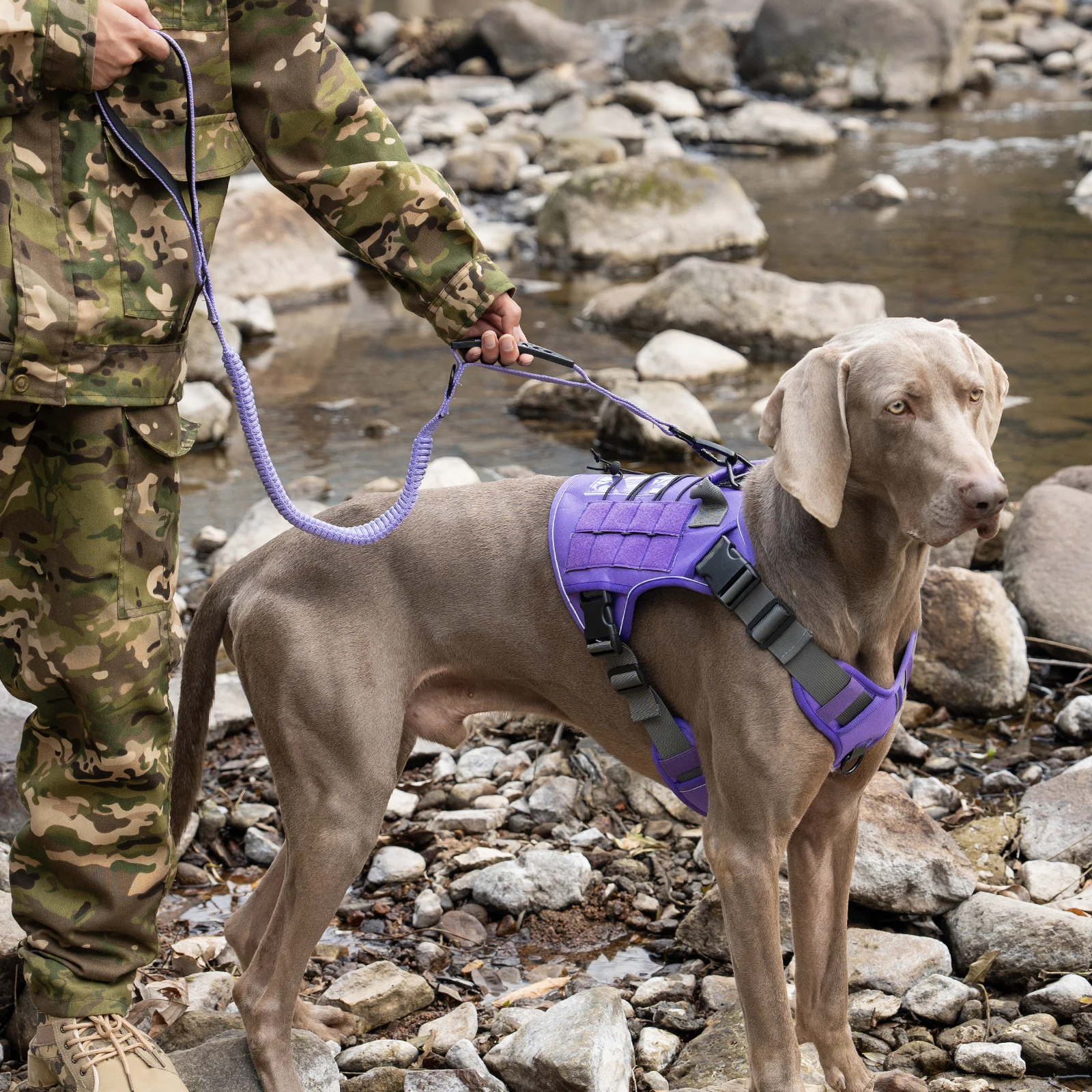 Arnés antitirones reflectante para perros – Control fácil para paseo - imagen 5