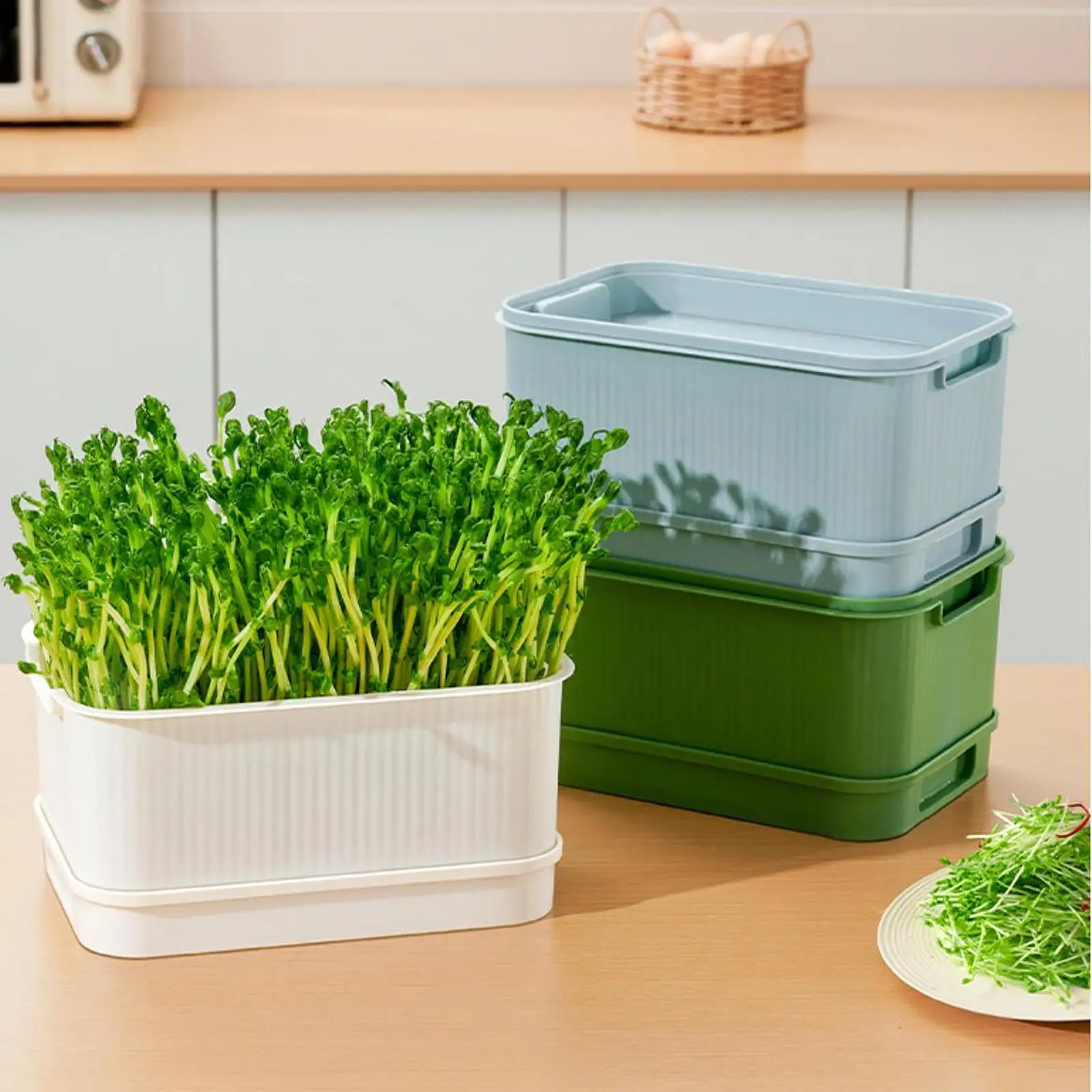 Seed Sprouts Tray Nursery Tray Saving Space Mini Greenhouse Germination Kits for Sprout Planting Container Green Growing Tray