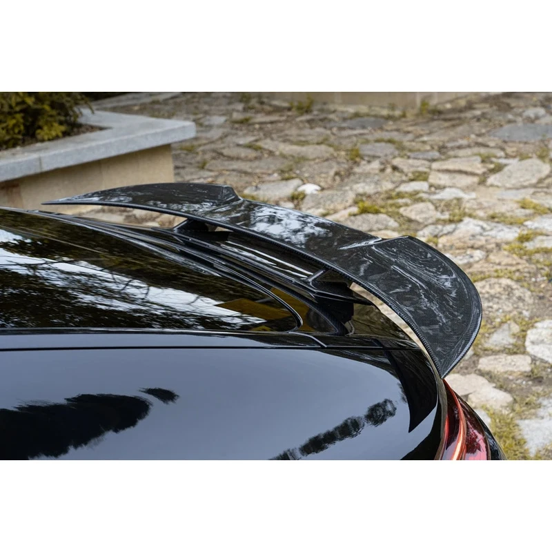 

High Quality Dry Carbon Fiber Rear Wing For Panamera 971 2017-2023