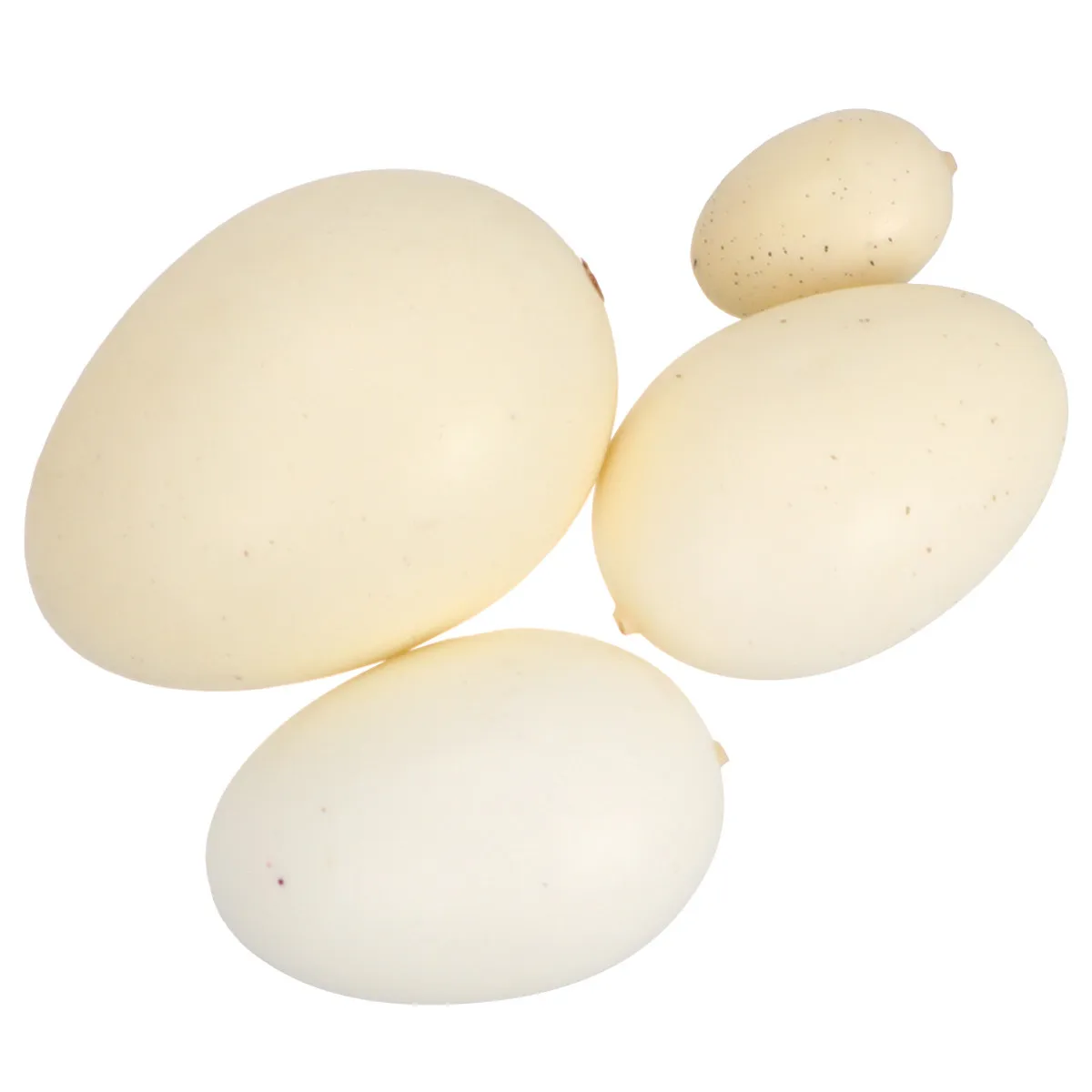 

Набор из 4 реалистичных имитаций птичьих яиц разных размеров с пятнами для детского творчества и рисования, подарок