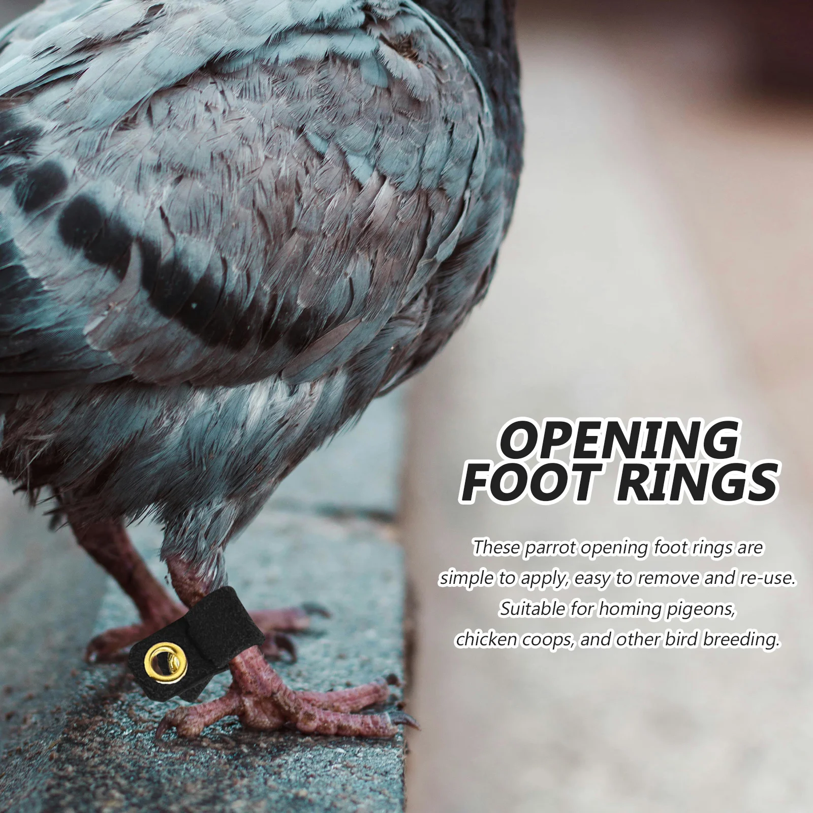 

4 Sets Suede Cloth Bird Rings Size 6 Opening Foot for Parrot Pigeon Reusable Bird Leg Accessories Pet