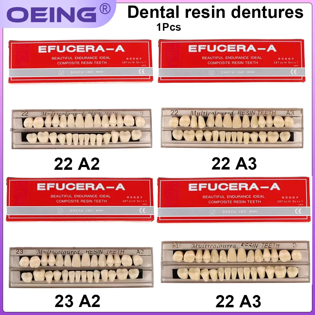 

Dental Plastic Denture Components Oral Materials Teaching Moulds and Dentures Student Practice Dental Models