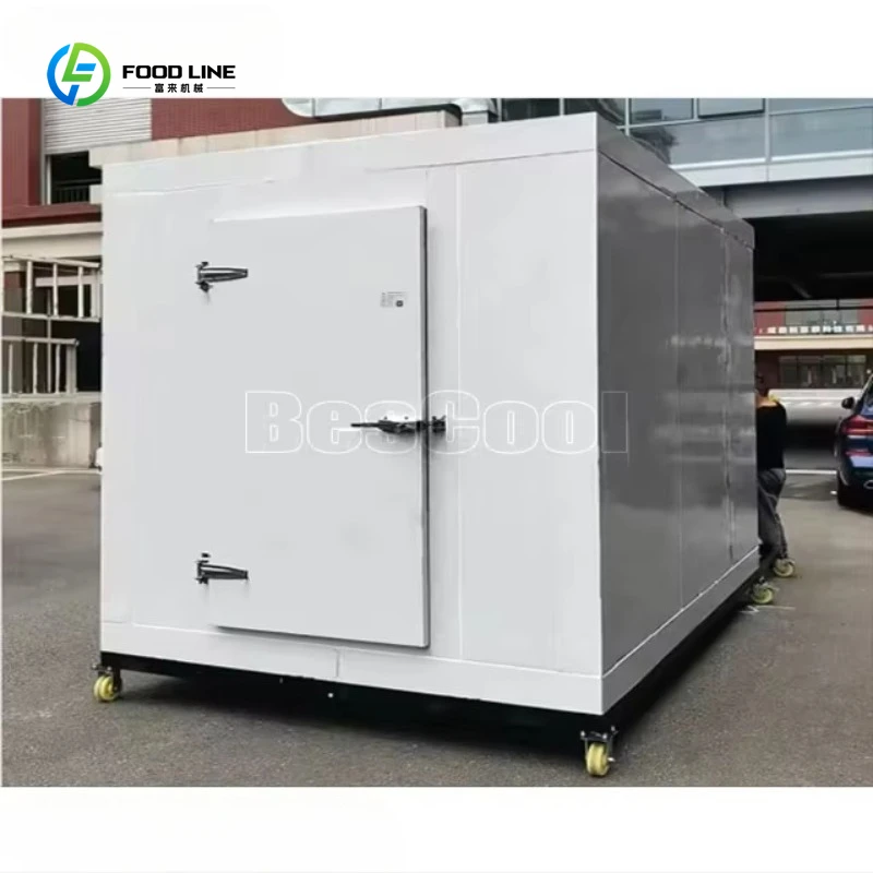 

Customized Mobile Cold Storage CO2 Blast Freezer with 100mm Panel Thickness for Food Preservation Delivery with Disassemble