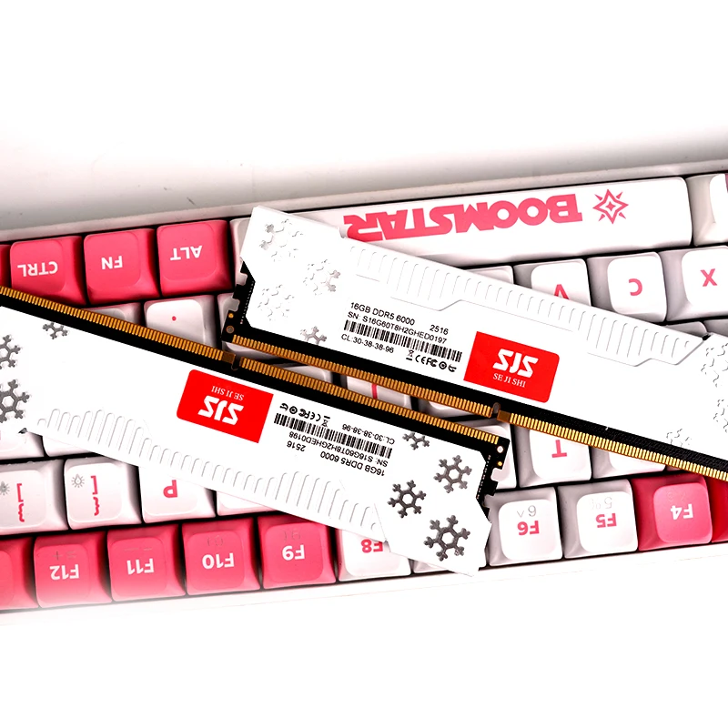 SEJISHI Memoria Ram DDR5 16GB * 2 stuks 6000MHz UDIMM Desktop UDIMMRAM PC Computer Geheugen Hynix Chip