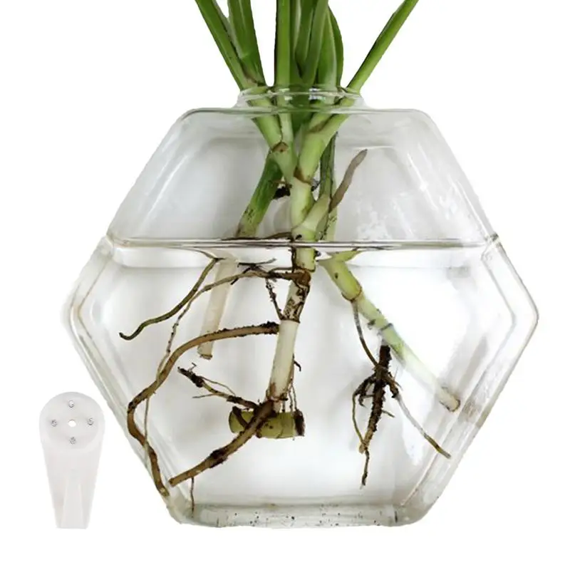 Glass Wall Planter Hexagon Wall Hanging Glass Flower Bud Vase Glass Planter Plant Terrarium lower Vases Home Office Decorations