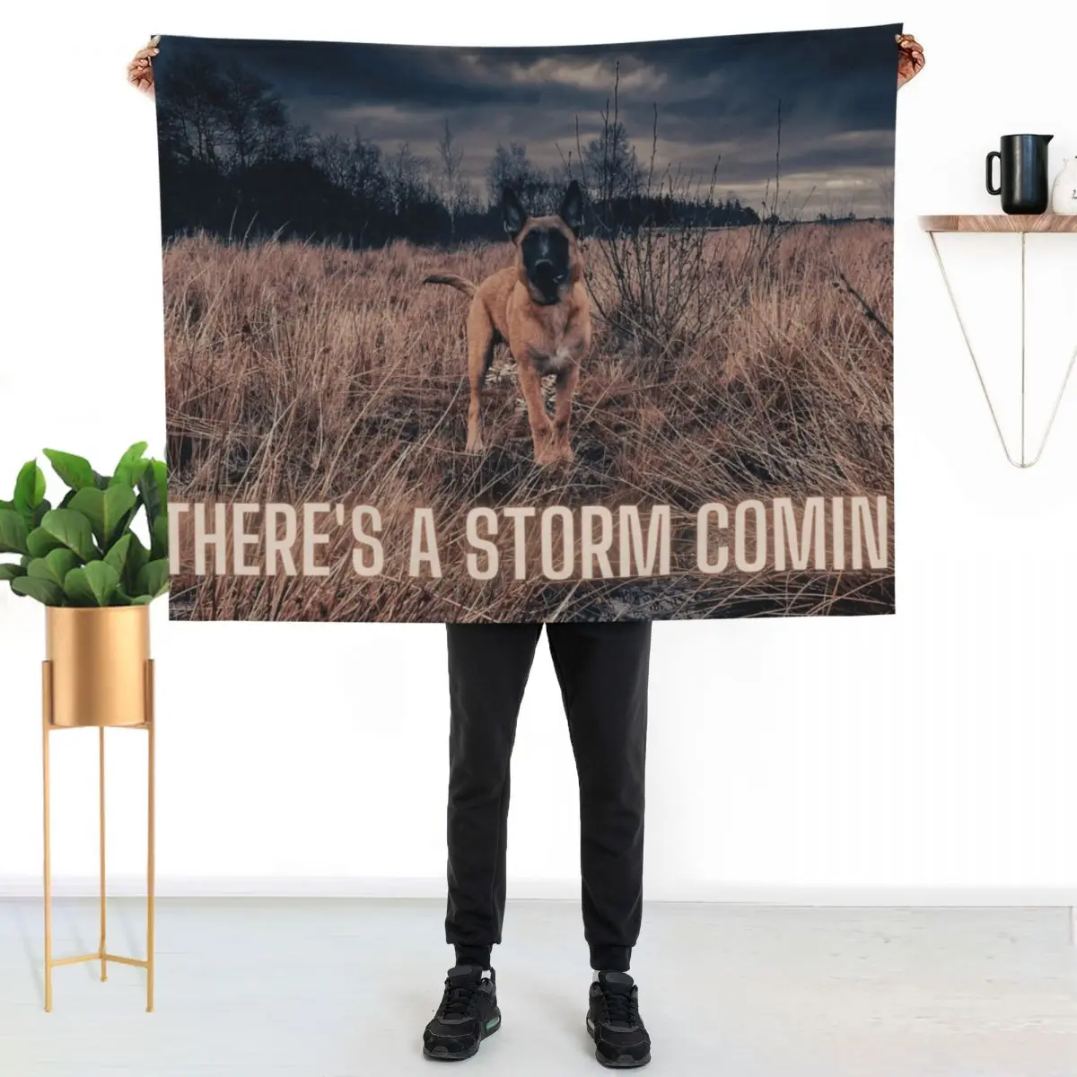 Anunna's Guardian says there's a Storm Comin' (titles) Throw Blanket Thin Soft Plaid Weighted Shaggy Blankets